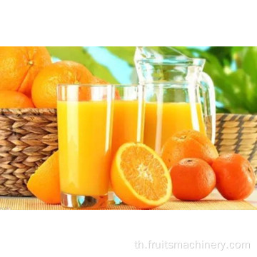 Mango Juice Packaging Machine Production